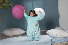 Load image into Gallery viewer, Sleeping Bag- Penguin (Sizes 12m,18m, 2-4 yrs)
