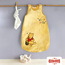 Load image into Gallery viewer, Sleeping Bag-Winnie the Pooh  (Sizes 0 &amp; 6 months)
